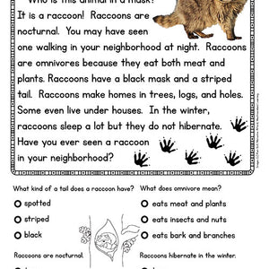 Non-Fiction Guided Reading & Comprehension